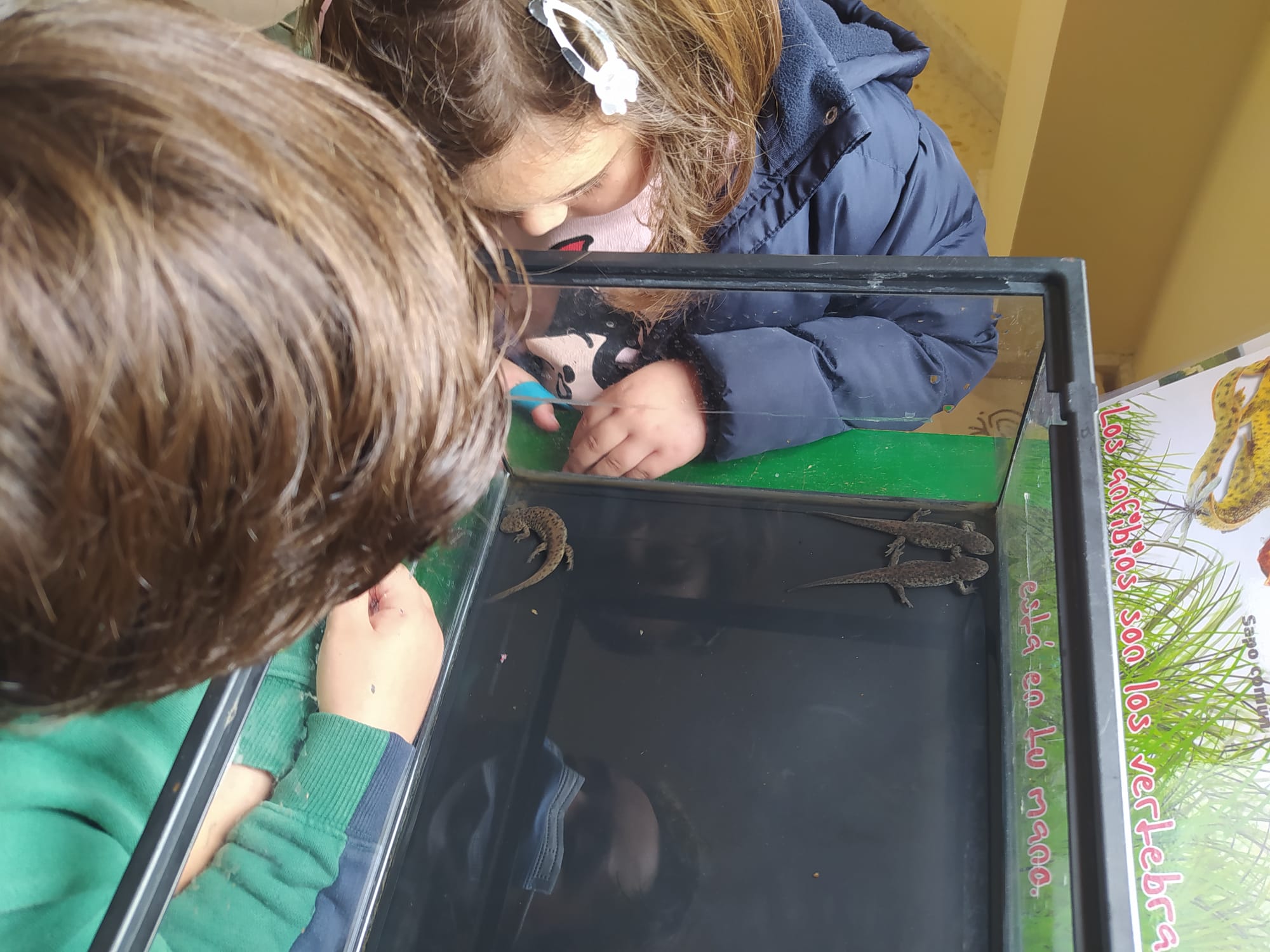 WhatsApp Image 2021-05-05 at 11.54.06