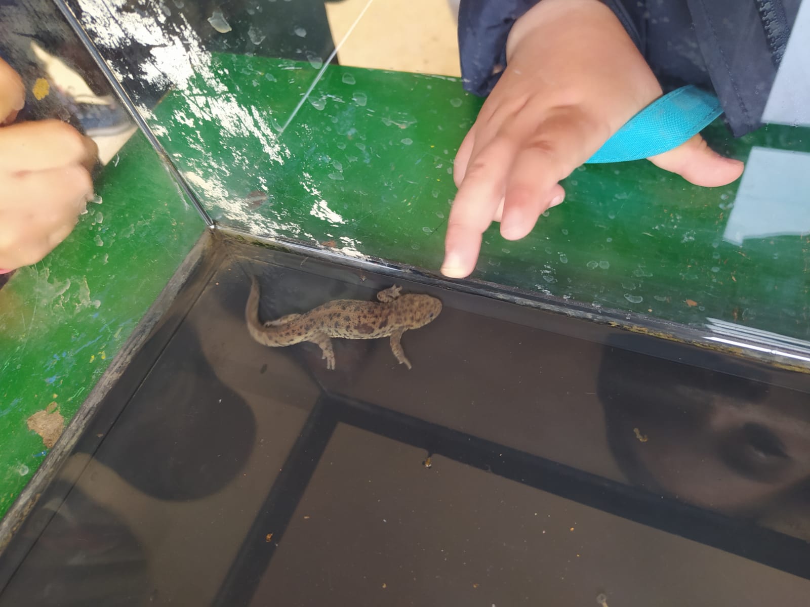 WhatsApp Image 2021-05-05 at 11.56.18