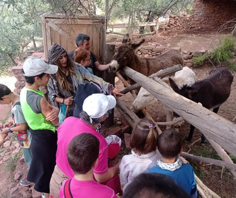 345440145_1308757773013341_6230110145914767848_n (2)