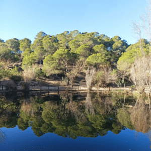 ALBERG BASSA BARRETA 1