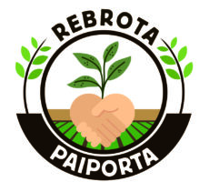 LOGO PAIPORTA DEF